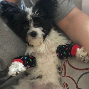 Meet your Posher, Annelise